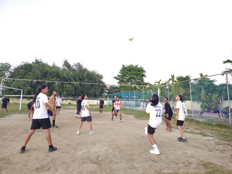 Volleyball