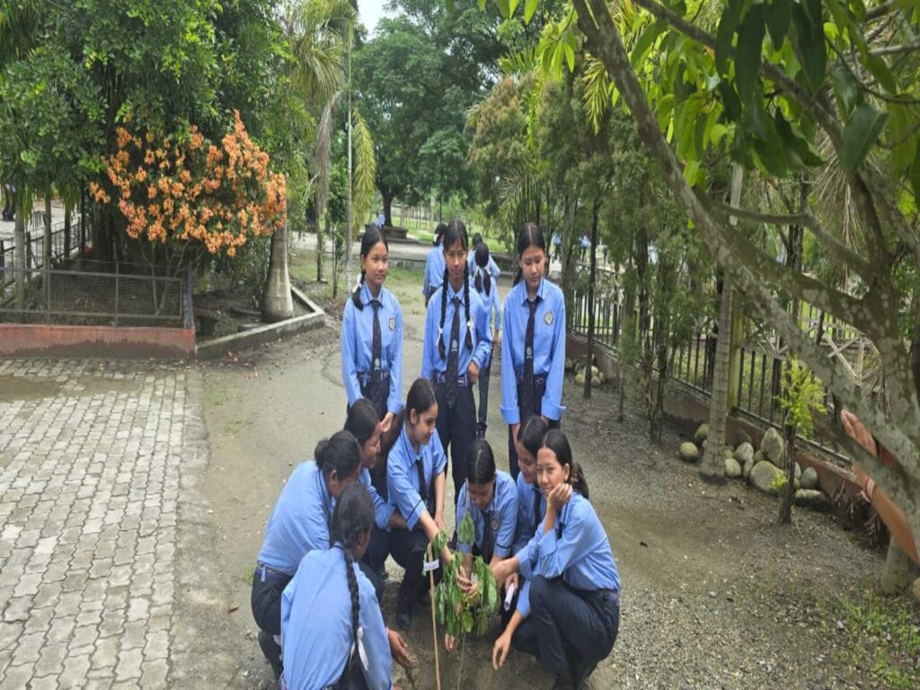 WhatsApp Image 2025-06-05 at 12.13.47_5066d66c